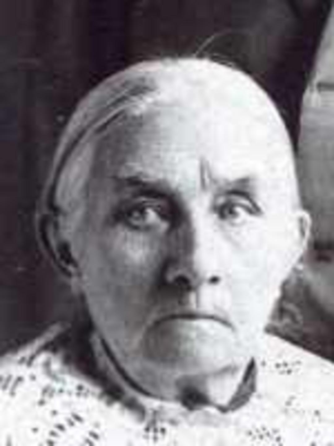 Louisa Williams (1841 - 1918) Profile
